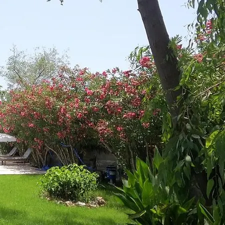 Mulberry House Dalyan